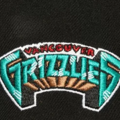 Icon Grail Pro Snapback Hwc Vancouver Grizzlies