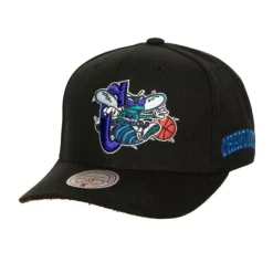 Icon Grail Pro Snapback Hwc Charlotte Hornets