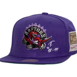 Jersey Love Snapback Hwc Toronto Raptors