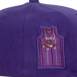 Jersey Love Snapback Hwc Toronto Raptors