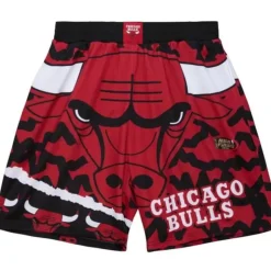 Jumbotron 2.0 Sublimated Shorts Chicago Bulls