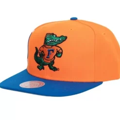 Jumbotron Snapback University Of Florida