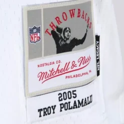 Legacy Troy Polamalu Pittsburgh Steelers 2005 Jersey