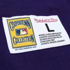 Legendary Slub Henley Tampa Bay Rays