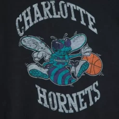 Legendary Slub S/S Tee Charlotte Hornets