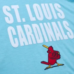 Legendary Slub Ss Tee St. Louis Cardinals