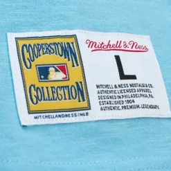 Legendary Slub Ss Tee St. Louis Cardinals