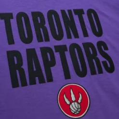 Legendary Slub S/S Tee Toronto Raptors