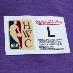 Legendary Slub S/S Tee Toronto Raptors