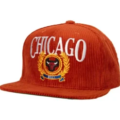 Levelz Snapback Chicago Bulls