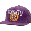 Levelz Snapback Hwc Toronto Raptors