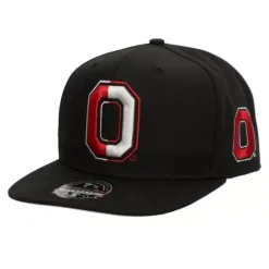 Lifestyle Fitted Hat Ohio State