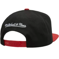 Logo Bill Snapback Chicago Bulls