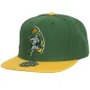 Logo Bill Snapback Green Bay Packers