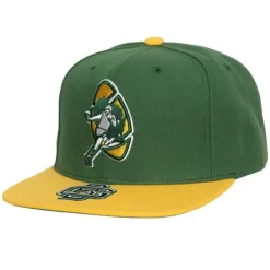 Logo Bill Snapback Green Bay Packers
