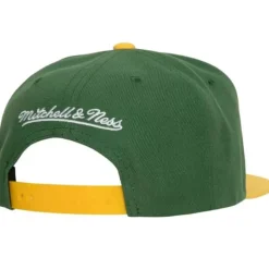 Logo Bill Snapback Green Bay Packers