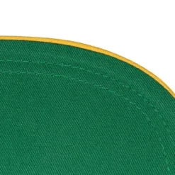 Logo Bill Snapback Green Bay Packers