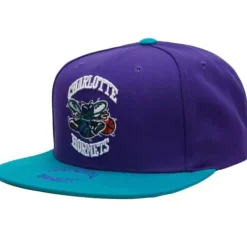 Logo Bill Snapback Hwc Charlotte Hornets