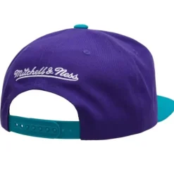 Logo Bill Snapback Hwc Charlotte Hornets