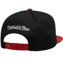 Logo Bill Snapback Hwc Miami Heat