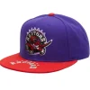 Logo Bill Snapback Hwc Toronto Raptors