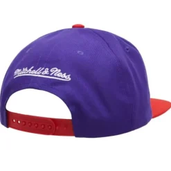 Logo Bill Snapback Hwc Toronto Raptors