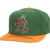 Logo Bill Snapback University Of Miami