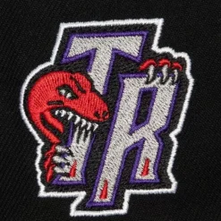Logo History Fitted Hwc Toronto Raptors
