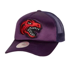 Logo Remix Trucker Snapback Hwc Toronto Raptors