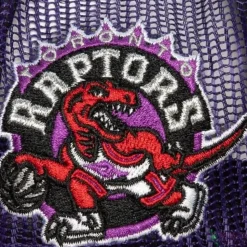Logo Remix Trucker Snapback Hwc Toronto Raptors