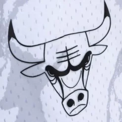 Marble Swingman Chicago Bulls 1997 Shorts