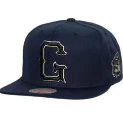 Mellow Fall Snapback Georgetown University