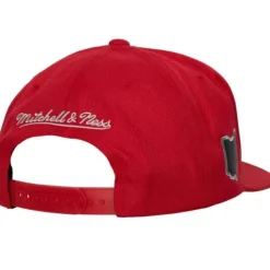 Mellow Fall Snapback Ohio State