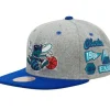 Melton Patch Snapback Hwc Charlotte Hornets