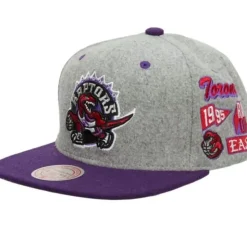 Melton Patch Snapback Hwc Toronto Raptors
