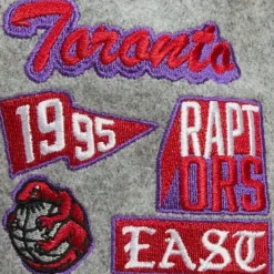 Melton Patch Snapback Hwc Toronto Raptors