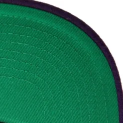 Melton Patch Snapback Hwc Toronto Raptors