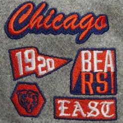 Melton Patch Snapback Nfl Chicago Bears