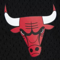 Mesh 1/4 Zip Chicago Bulls