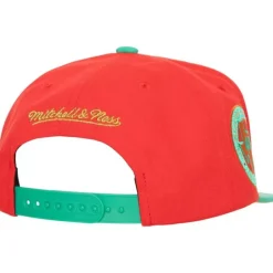 Mistletoe Snapback Coop Houston Astros