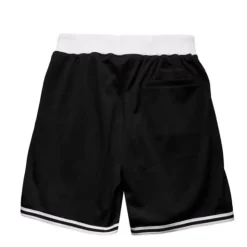 Mitchell & Ness Essentials Mesh Shorts
