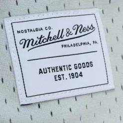 Mitchell & Ness Game Day 2.0 Shorts