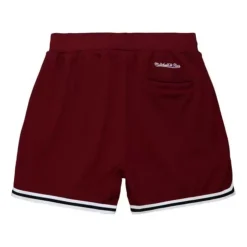 Mitchell & Ness Game Day 2.0 Shorts