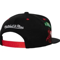 Mitchell & Ness North Philly Snapback