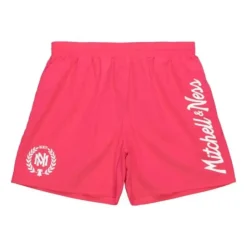Mitchell & Ness Team Essentials Nylon Shorts