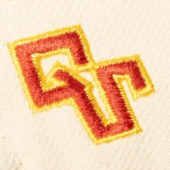 M&N X Melody Ehsani Champions Snapback Golden State Warriors