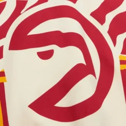 M&N X Melody Ehsani Raglan Pullover Atlanta Hawks