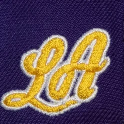 M&N X Ozuna Snapback Hwc Los Angeles Lakers