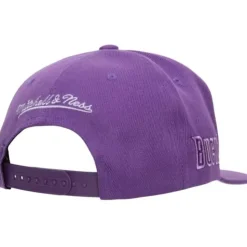 Monochromatic Snapback Hwc Milwaukee Bucks