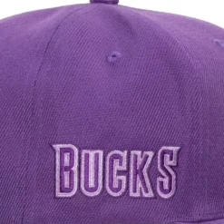 Monochromatic Snapback Hwc Milwaukee Bucks